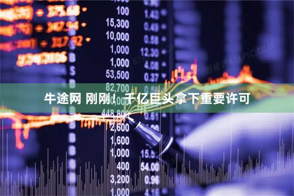 牛途网 刚刚！千亿巨头拿下重要许可